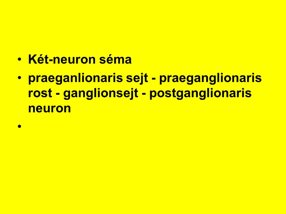 Két-neuron séma praeganlionaris sejt - praeganglionaris rost - ganglionsejt - postganglionaris neuron.