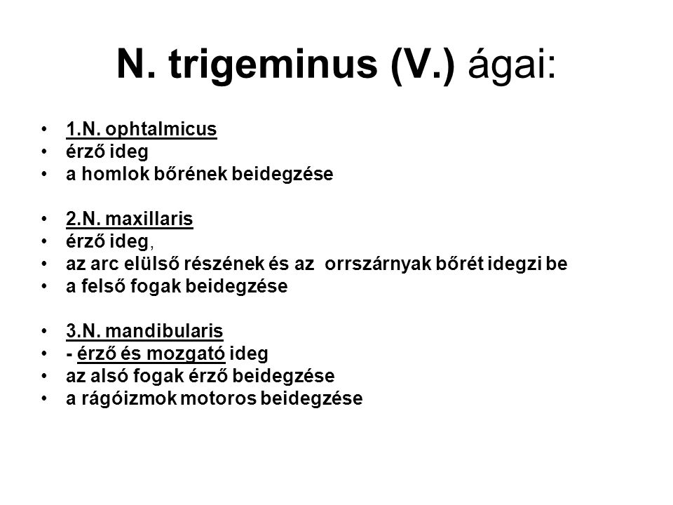 N. trigeminus (V.) ágai: 1.N. ophtalmicus érző ideg