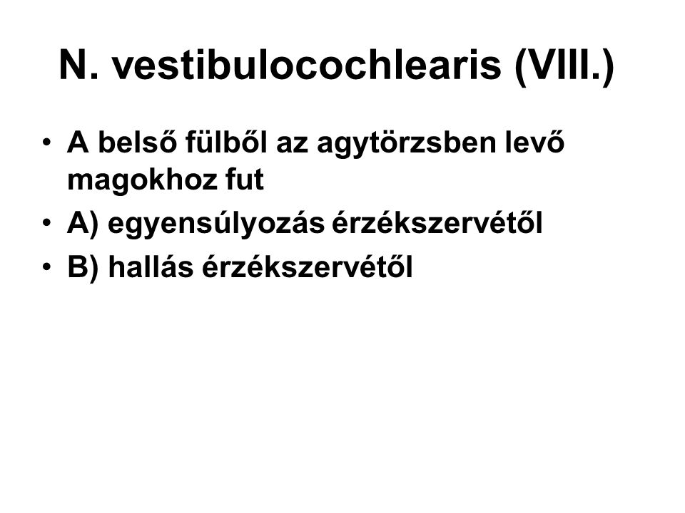 N. vestibulocochlearis (VIII.)