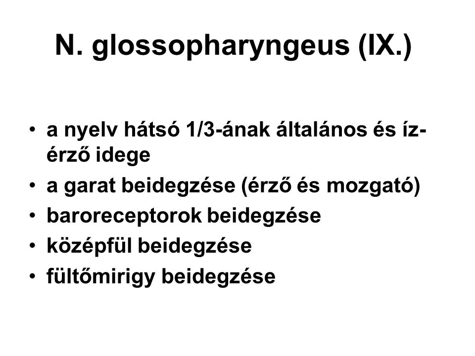 N. glossopharyngeus (IX.)