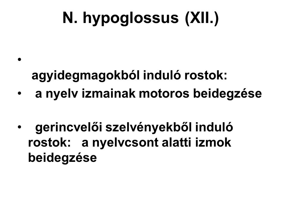 N. hypoglossus (XII.) agyidegmagokból induló rostok: