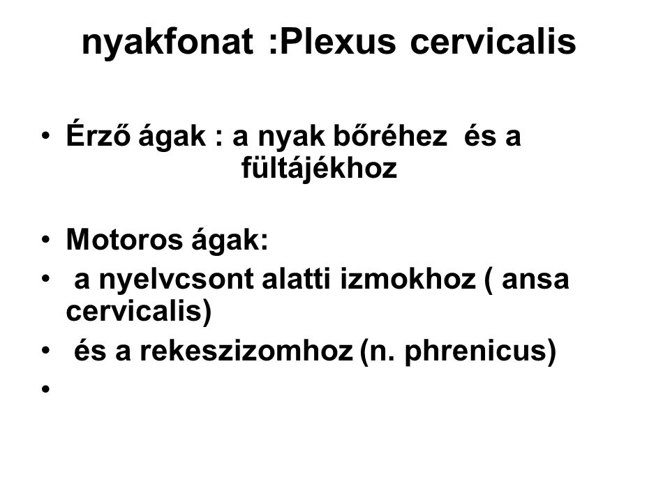 nyakfonat :Plexus cervicalis