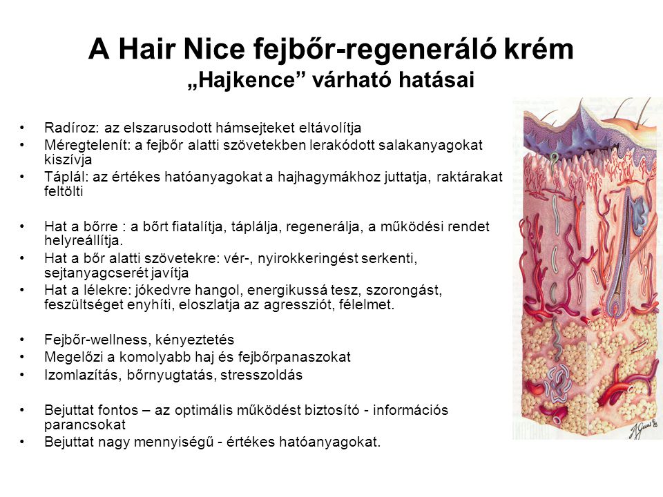 A Hair Nice fejbőr-regeneráló krém „Hajkence várható hatásai