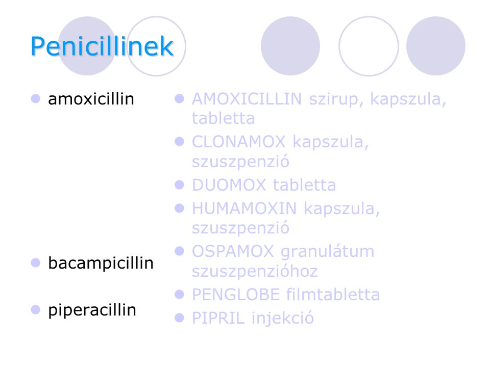 Penicillinek amoxicillin bacampicillin piperacillin