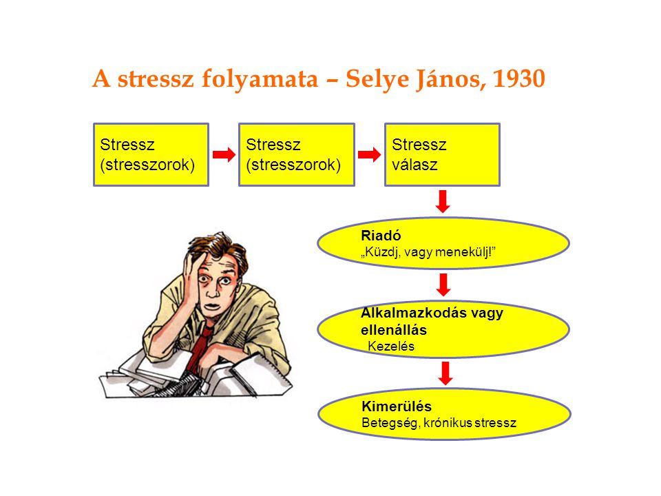 A stressz folyamata – Selye János, 1930