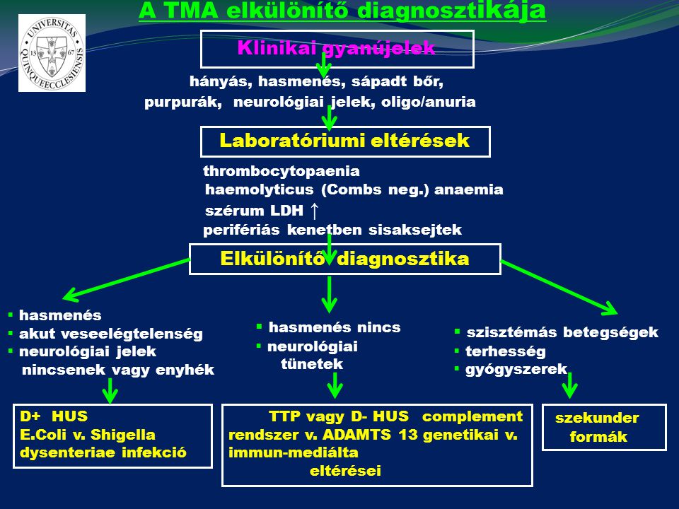 A TMA elkülönítő diagnosztikája