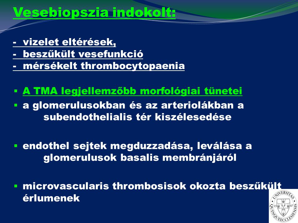 Vesebiopszia indokolt: - vizelet eltérések, - beszűkült vesefunkció - mérsékelt thrombocytopaenia