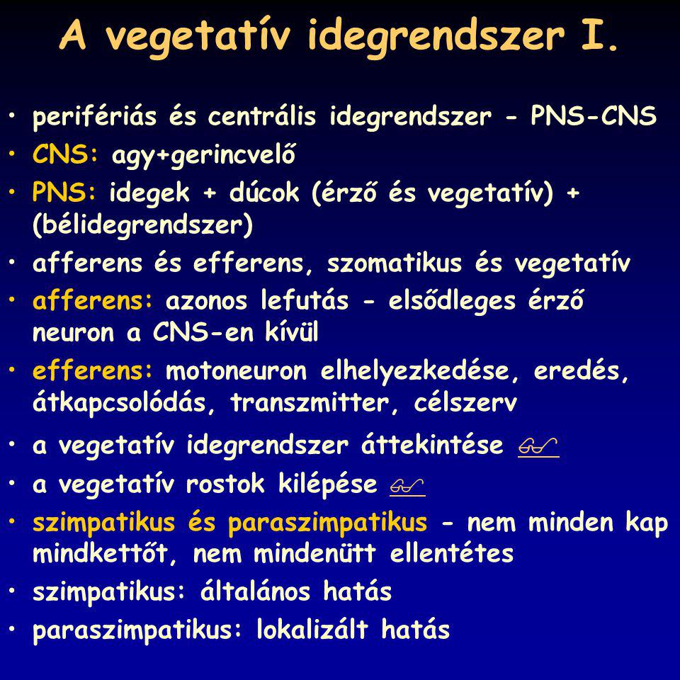 A vegetatív idegrendszer I.