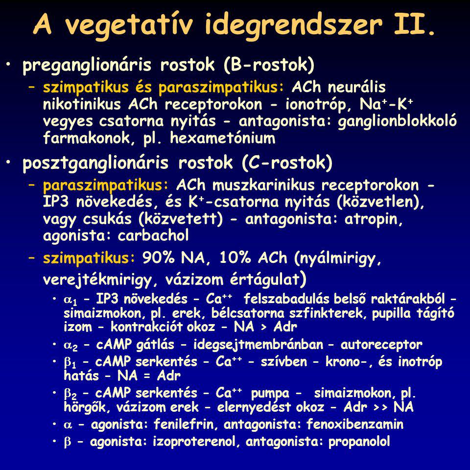 A vegetatív idegrendszer II.