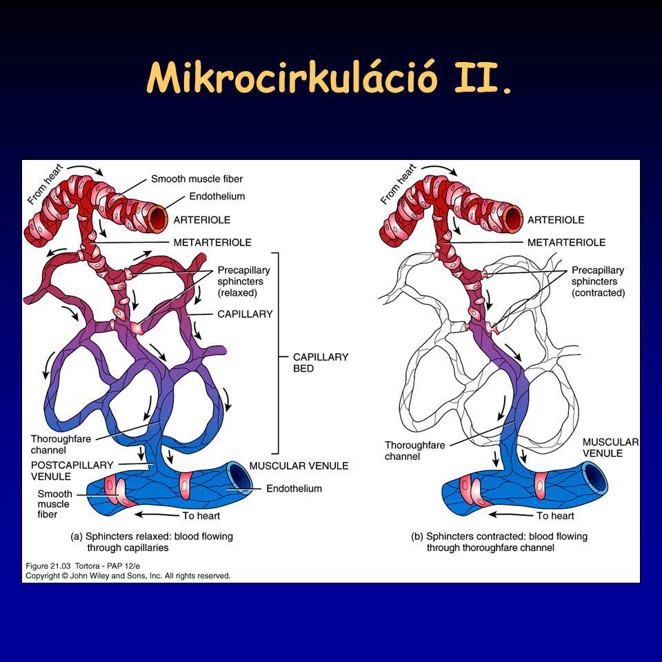 Mikrocirkuláció II. 21_03