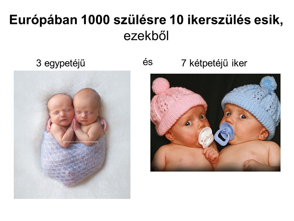 Európában 1000 szülésre 10 ikerszülés esik, ezekből