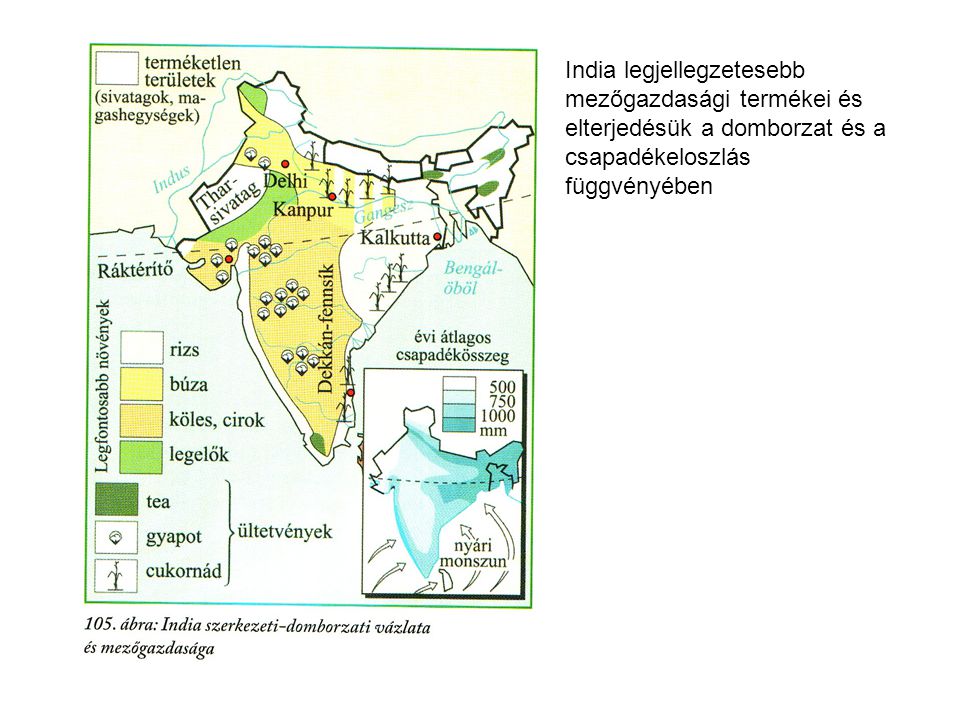 India legjellegzetesebb mezőgazdasági termékei és elterjedésük a domborzat és a csapadékeloszlás függvényében