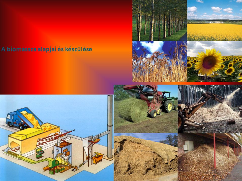 A biomassza alapjai és készülése