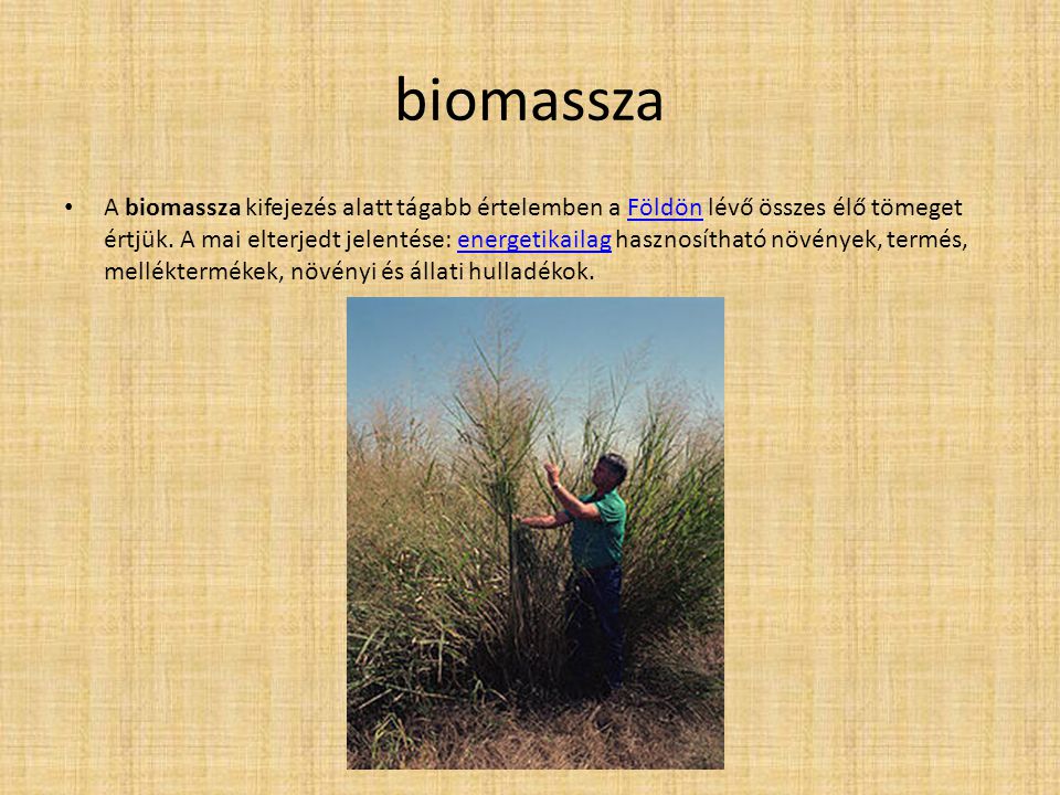 biomassza