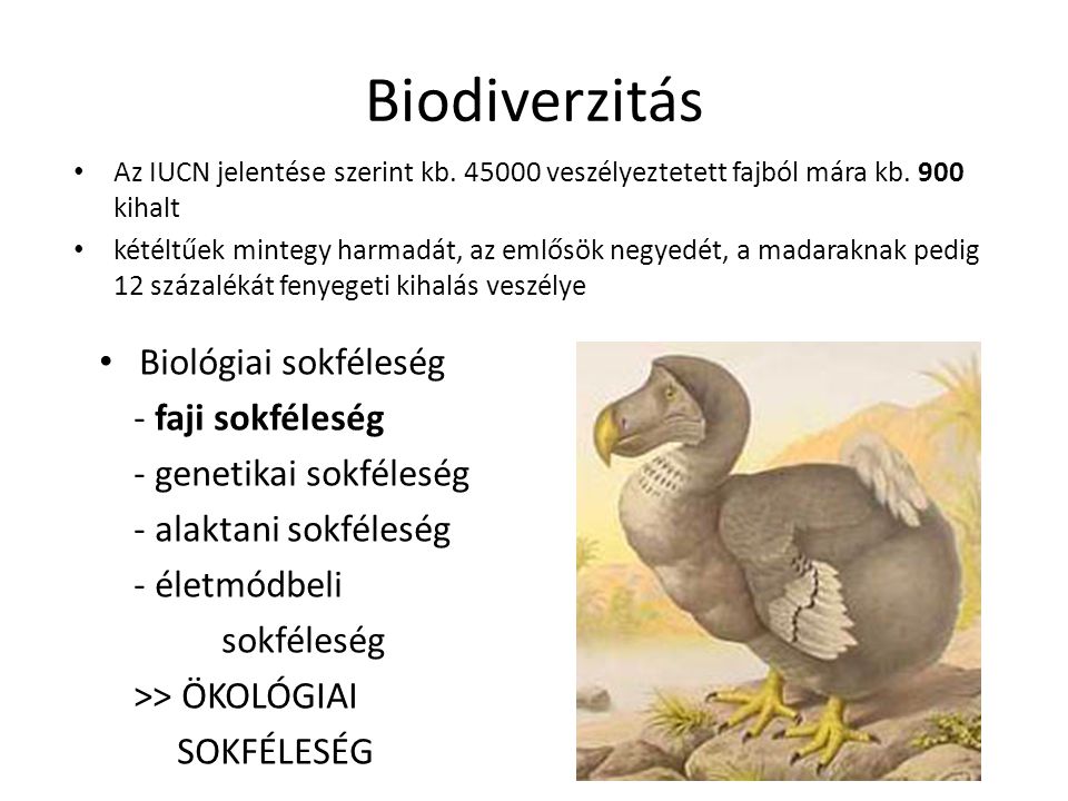 Biodiverzitás Biológiai sokféleség - faji sokféleség