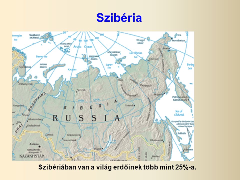 Szibériában van a világ erdőinek több mint 25%-a.