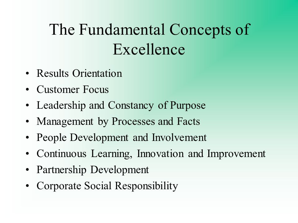 The Fundamental Concepts of Excellence