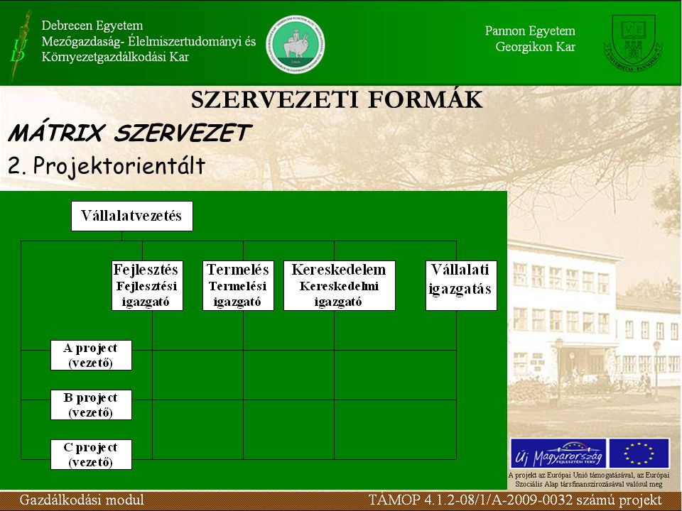 SZERVEZETI FORMÁK MÁTRIX SZERVEZET 2. Projektorientált