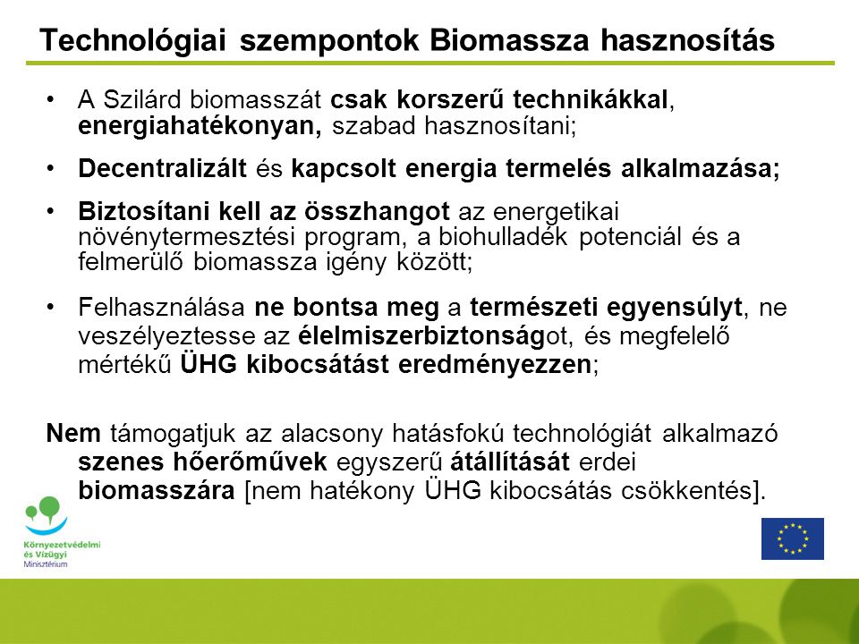 Technológiai szempontok Biomassza hasznosítás