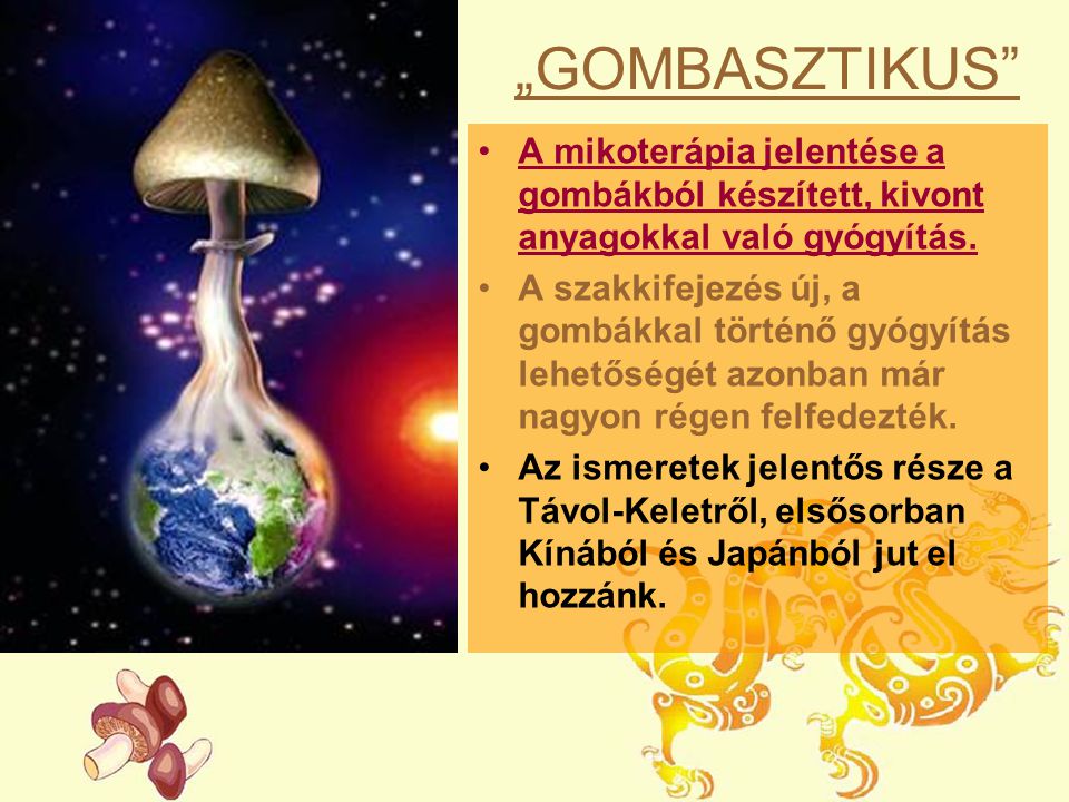 „GOMBASZTIKUS A mikoterápia jelentése a gombákból készített, kivont anyagokkal való gyógyítás.