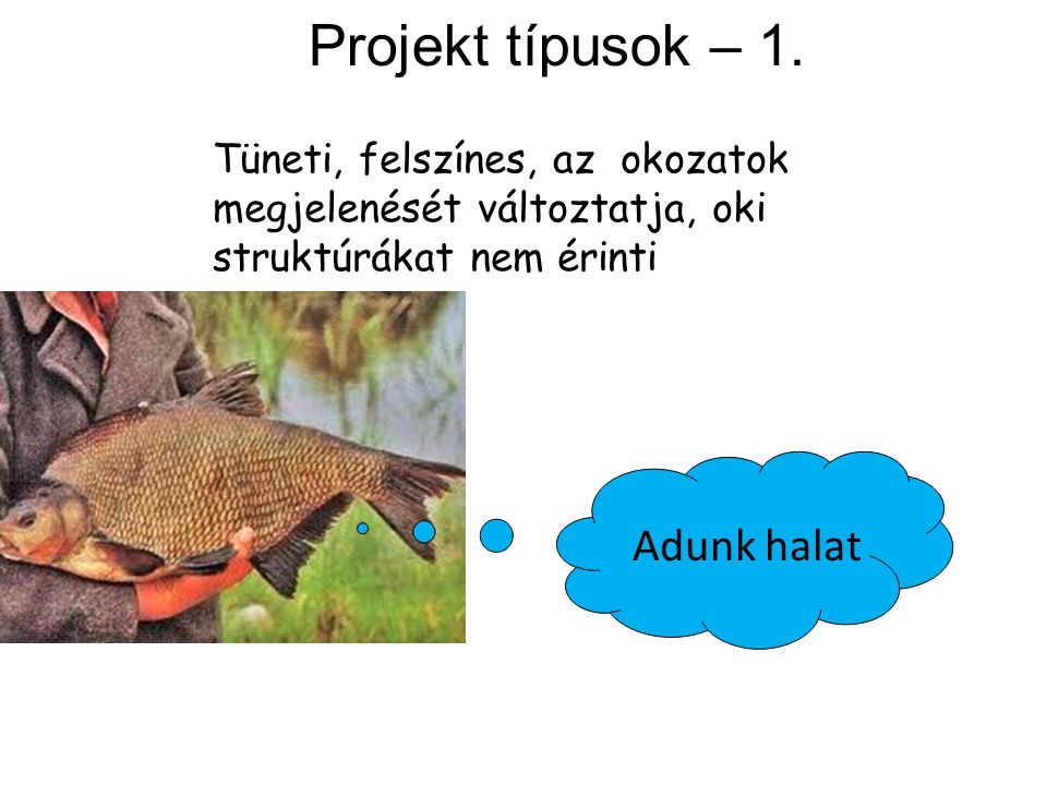 Projekt típusok – 1. Adunk halat