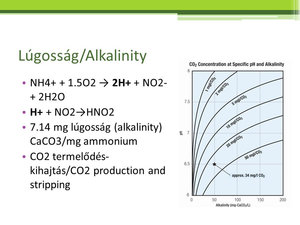 Lúgosság/Alkalinity NH O2 → 2H+ + NO2- + 2H2O H+ + NO2→HNO2