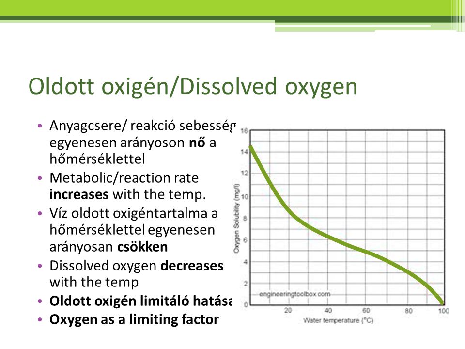 Oldott oxigén/Dissolved oxygen
