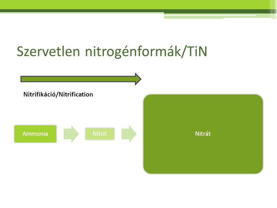 Szervetlen nitrogénformák/TiN