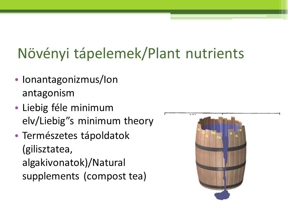 Növényi tápelemek/Plant nutrients