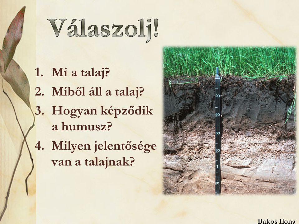 Válaszolj! Mi a talaj Miből áll a talaj Hogyan képződik a humusz