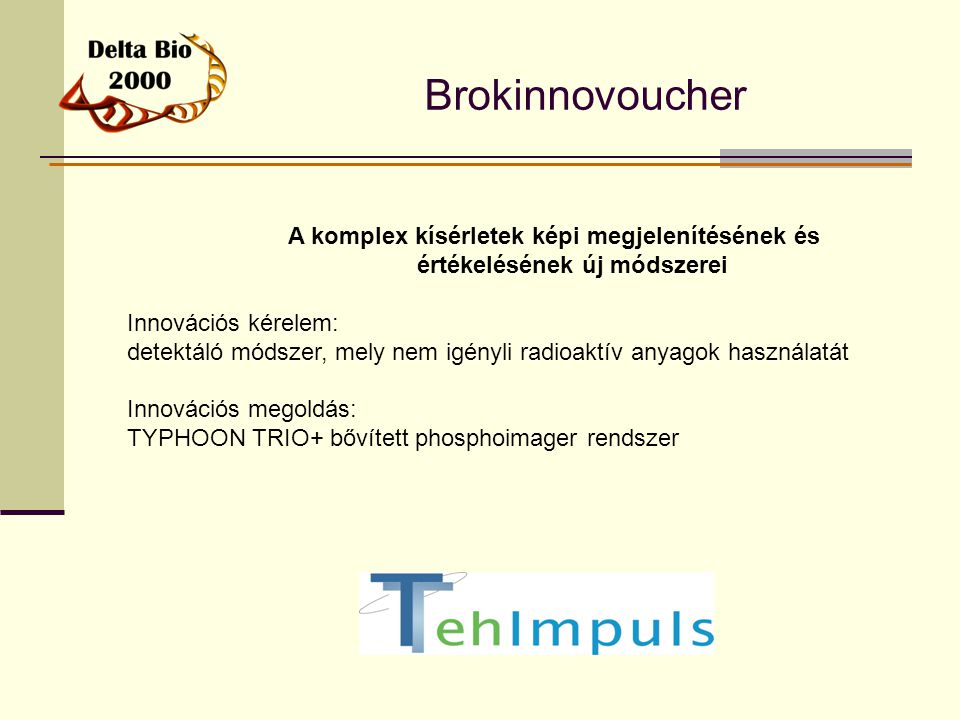 Brokinnovoucher A komplex kísérletek képi megjelenítésének és értékelésének új módszerei. Innovációs kérelem: