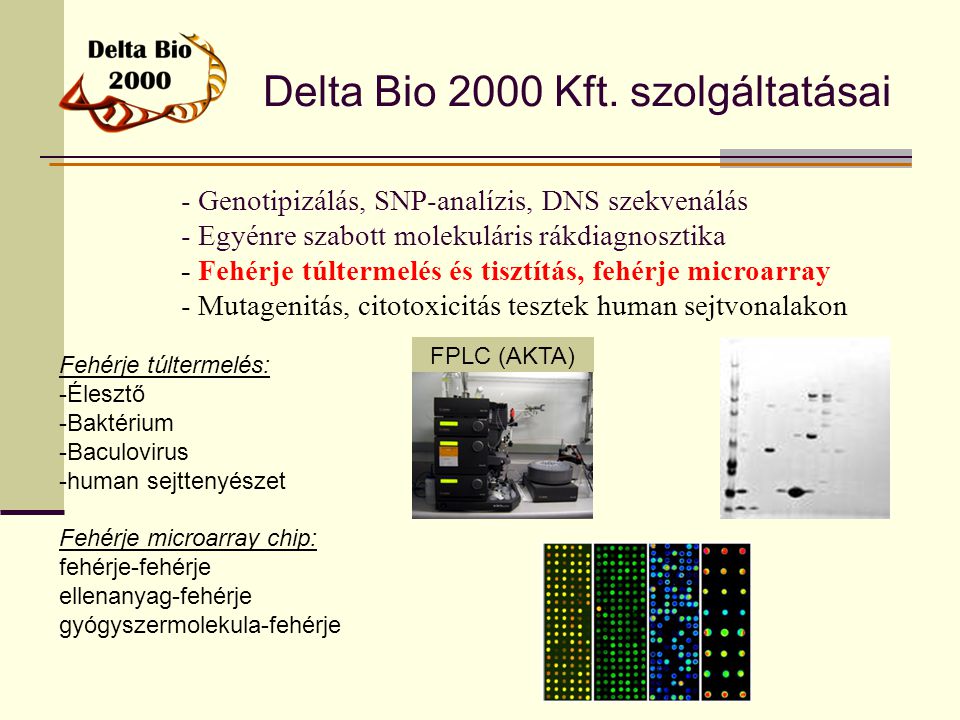 Delta Bio 2000 Kft. szolgáltatásai