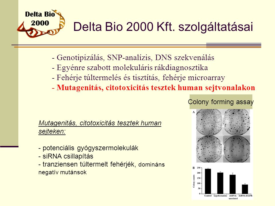 Delta Bio 2000 Kft. szolgáltatásai