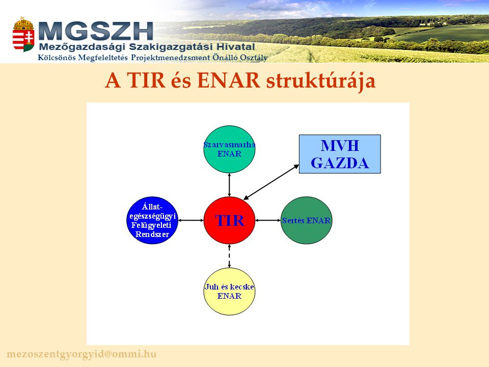 A TIR és ENAR struktúrája
