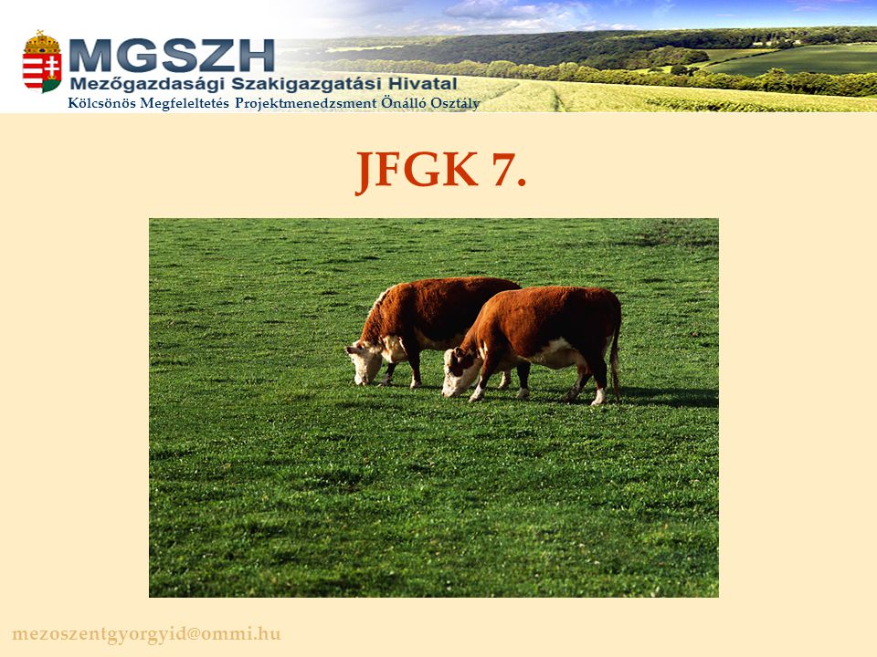 JFGK 7.