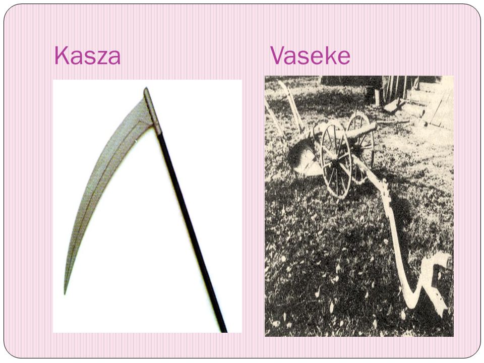 Kasza Vaseke
