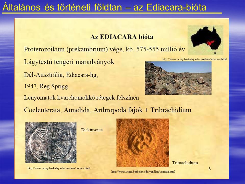 Általános és történeti földtan – az Ediacara-bióta