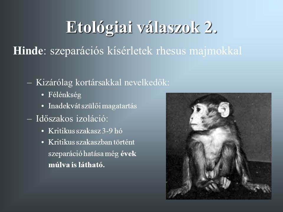 Etológiai válaszok 2. Hinde: szeparációs kísérletek rhesus majmokkal