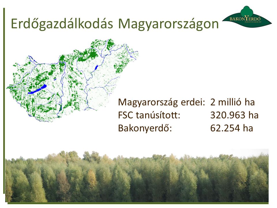 Erdőgazdálkodás Magyarországon