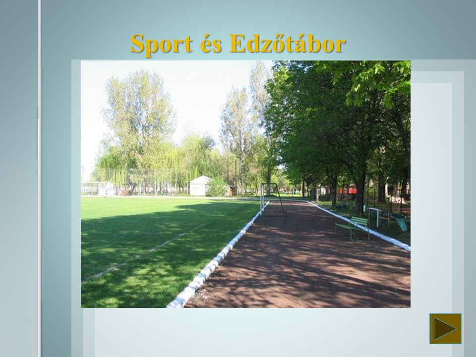 Sport és Edzőtábor
