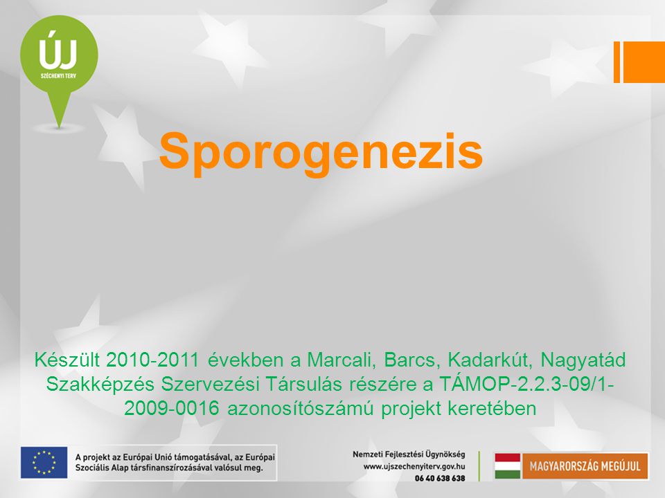 Sporogenezis