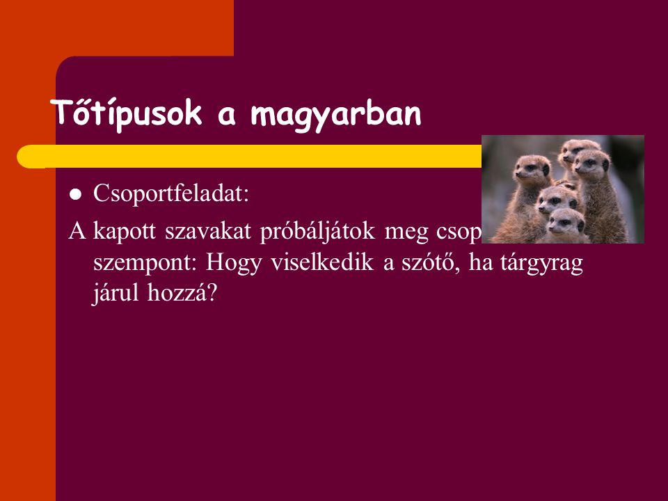 Tőtípusok a magyarban Csoportfeladat: