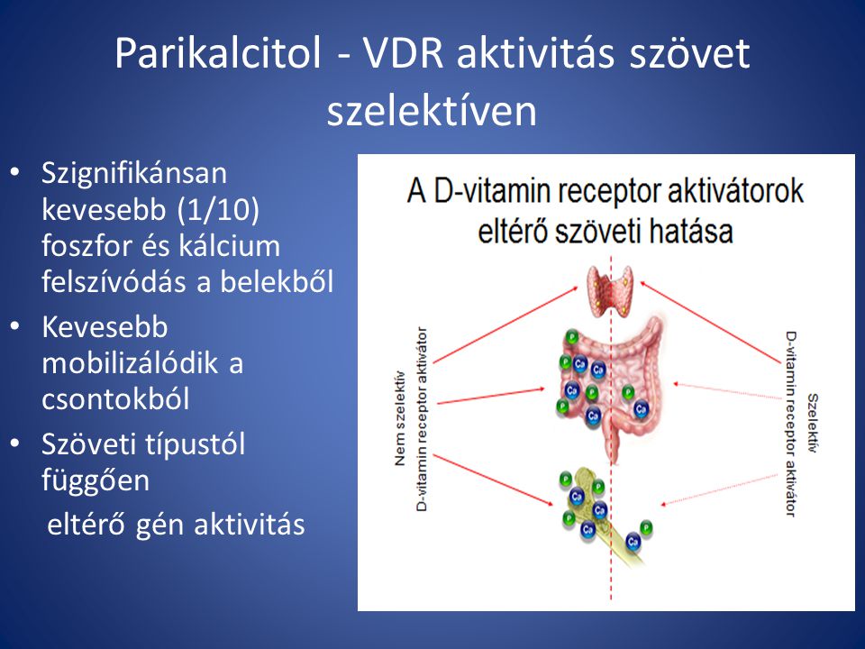 Parikalcitol - VDR aktivitás szövet szelektíven