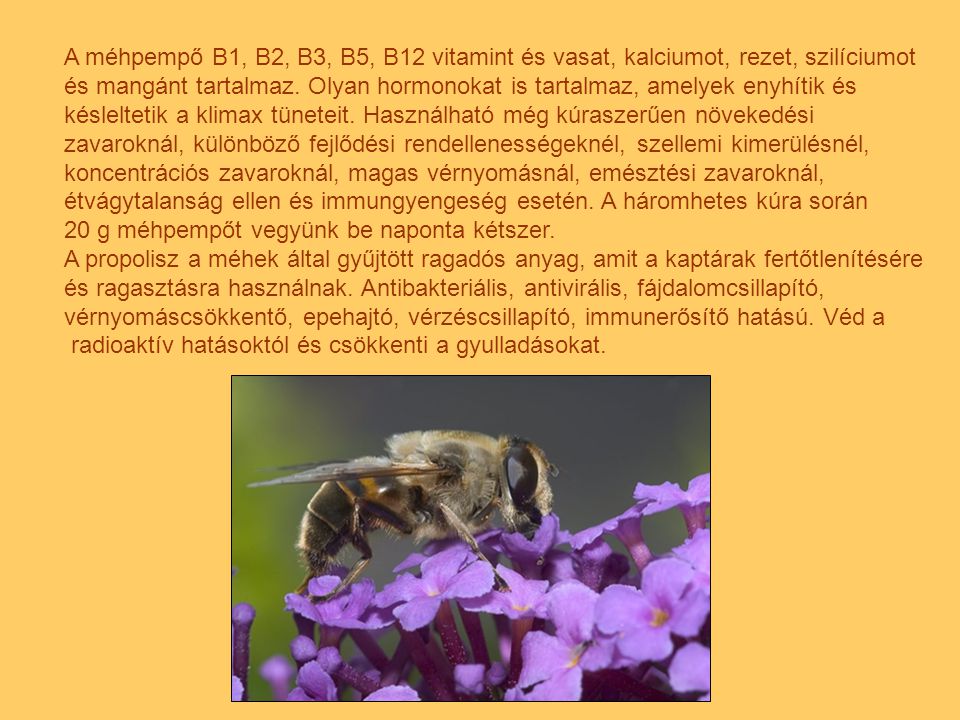 A méhpempő B1, B2, B3, B5, B12 vitamint és vasat, kalciumot, rezet, szilíciumot