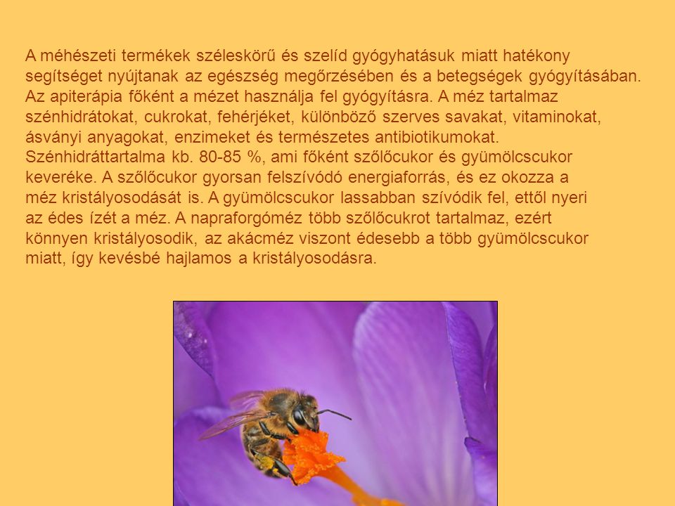 A méhészeti termékek széleskörű és szelíd gyógyhatásuk miatt hatékony