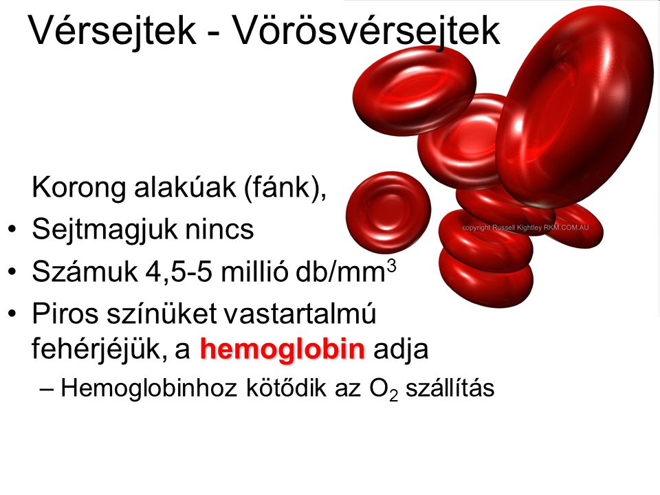 Vérsejtek - Vörösvérsejtek