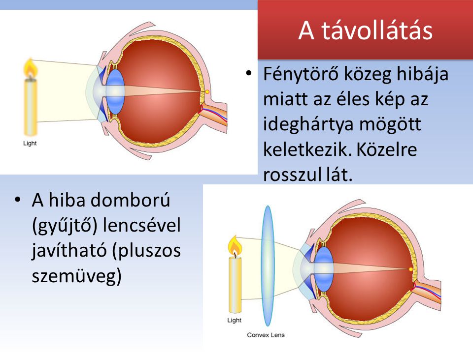 A szem és a látás kialakulása - Mit látnak a gyerekek? - CardioBaby