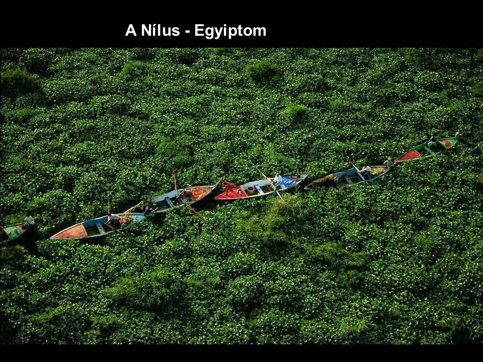 A Nílus - Egyiptom