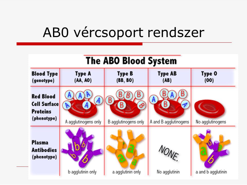 AB0 vércsoport rendszer