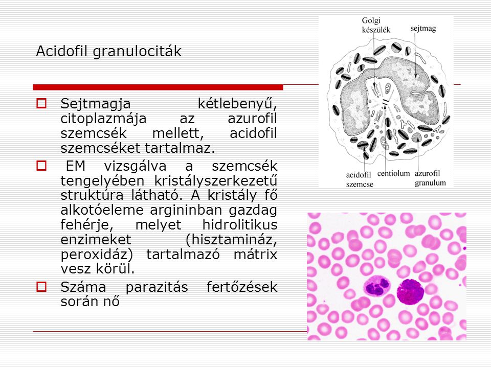 Acidofil granulociták